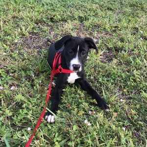 Meet your Posher, Sherry